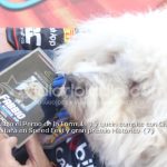 Fabio el Peroo de la Formula 1 y quein compite con Checo Perez estara en Speed Fest y gran premio Historico 7