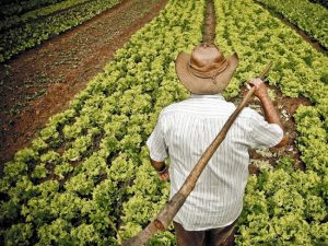agricultor sostenible