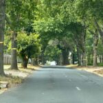 Suburban Johannesburg with yellow ribbons for release of hostages