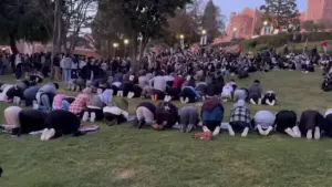 ucla students many of whom are atheists and feminists v0 MnFwZjRwaGk0MXljMYGHanZ68KB J5 0n0R77fFNF d8eO5CMJ Lbhplp7mI