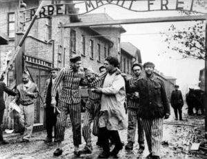 standard compressed Auschwitz