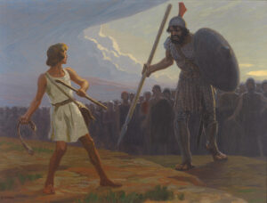 fugel david gegen goliath 7b5370
