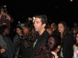 David Schwimmer director
