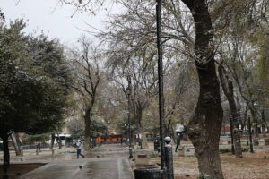 Winter day in Alameda Park Monterrey