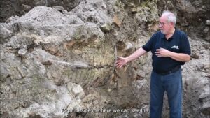 arqueologos encuentran bajo ruin