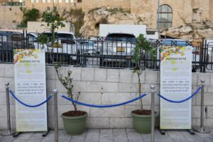 תשפה 2