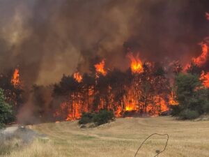Incendio en las montanas cercanas a Jerusalen en 2025 Foto Samuelkkch Wikimedia Commons CC BY SA 4.0