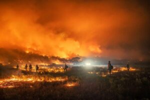 Rebecca Maui Wildfire Original 1200x800 1