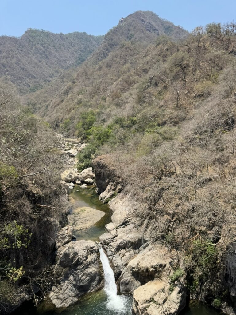 Rutas Ecológicas