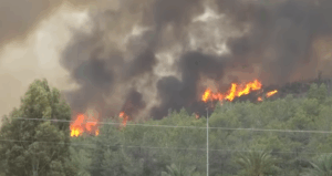 wildfires