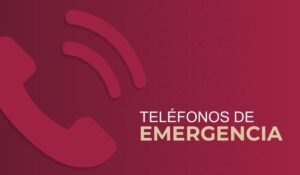 post TELEFONOS DE EMERGENCIA
