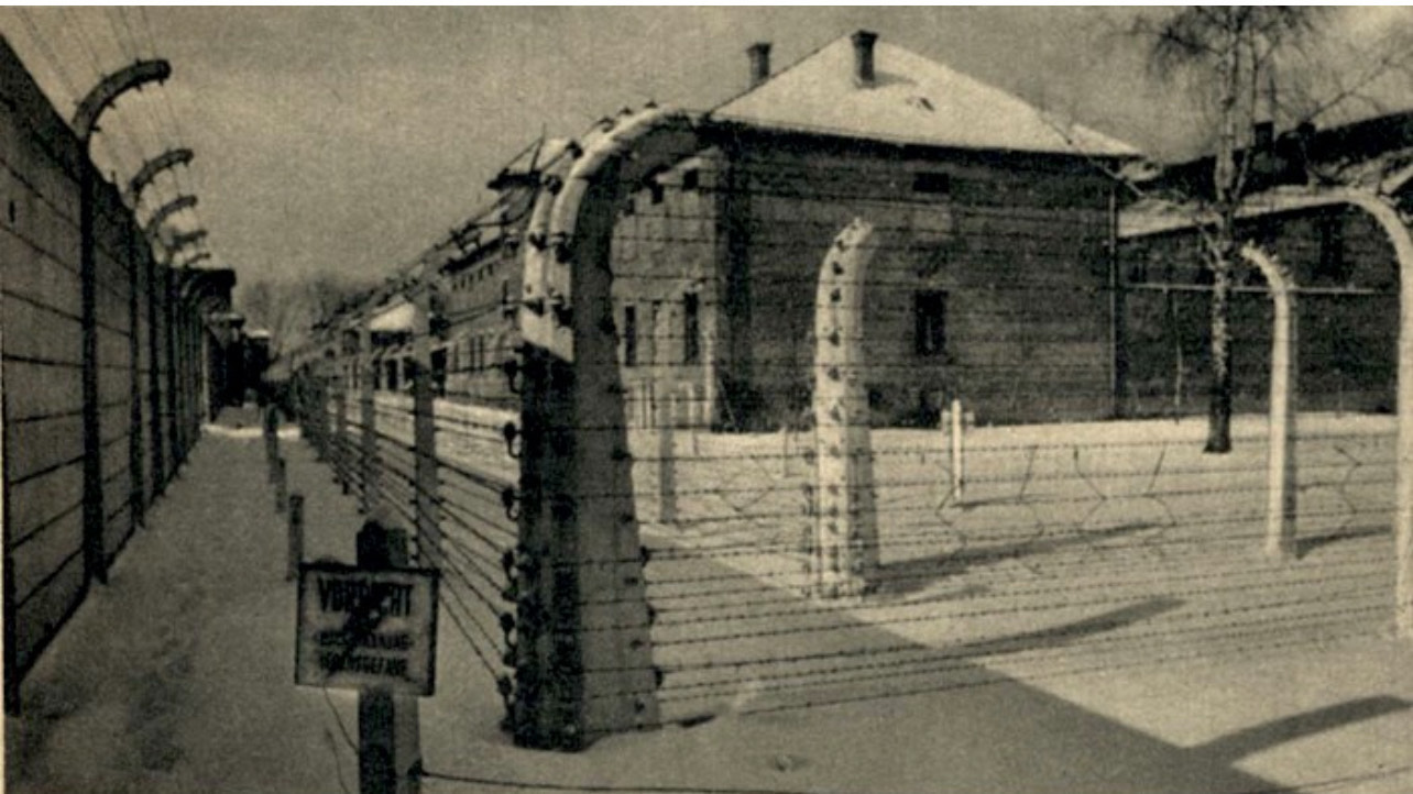 Libro: “El chico que sobrevivió a Auschwitz” – Por Adriana Lerman